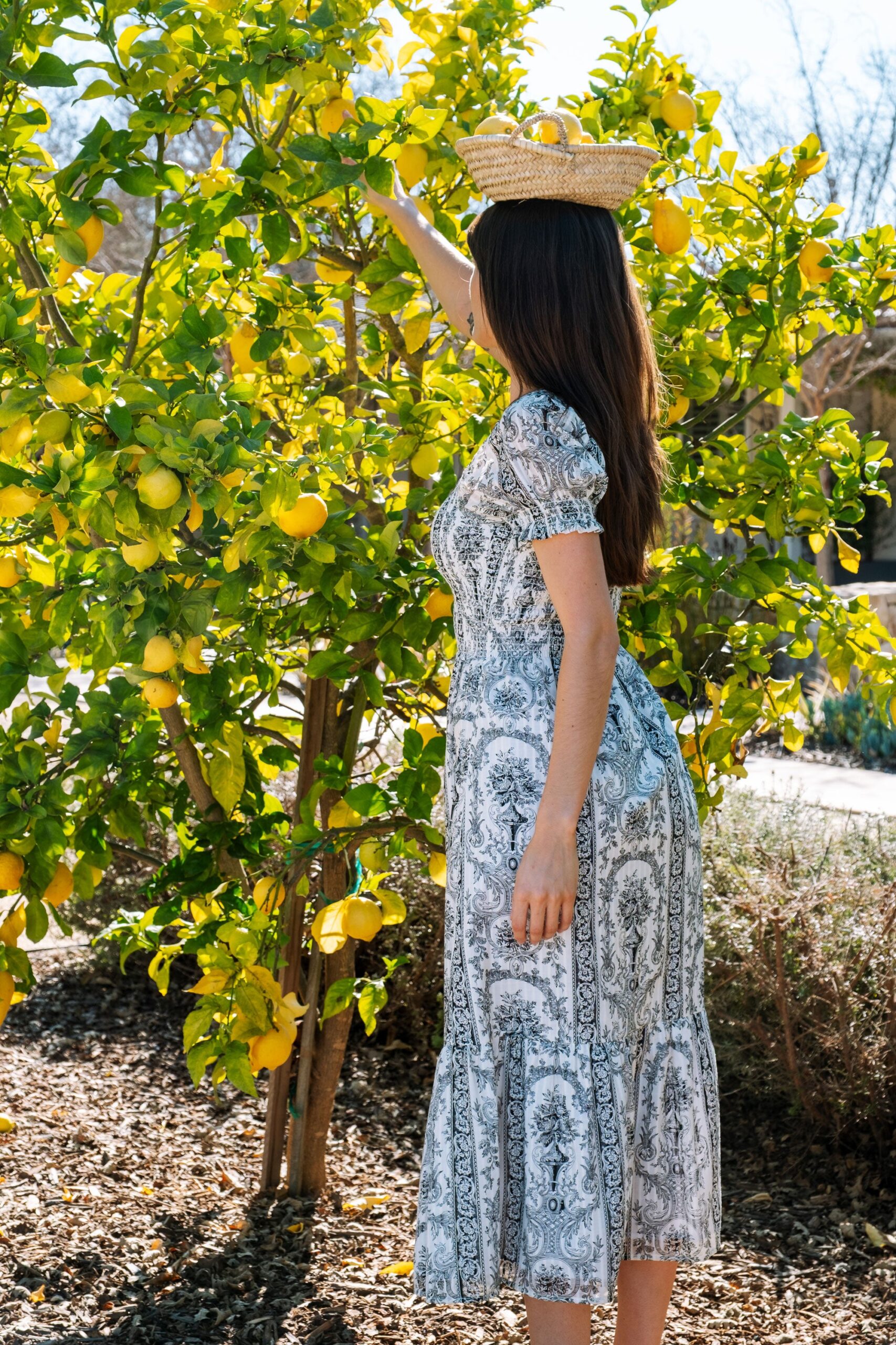 paisley-harper-dress-whimsy-and-row-ethically-made-womens-fashion.jpg