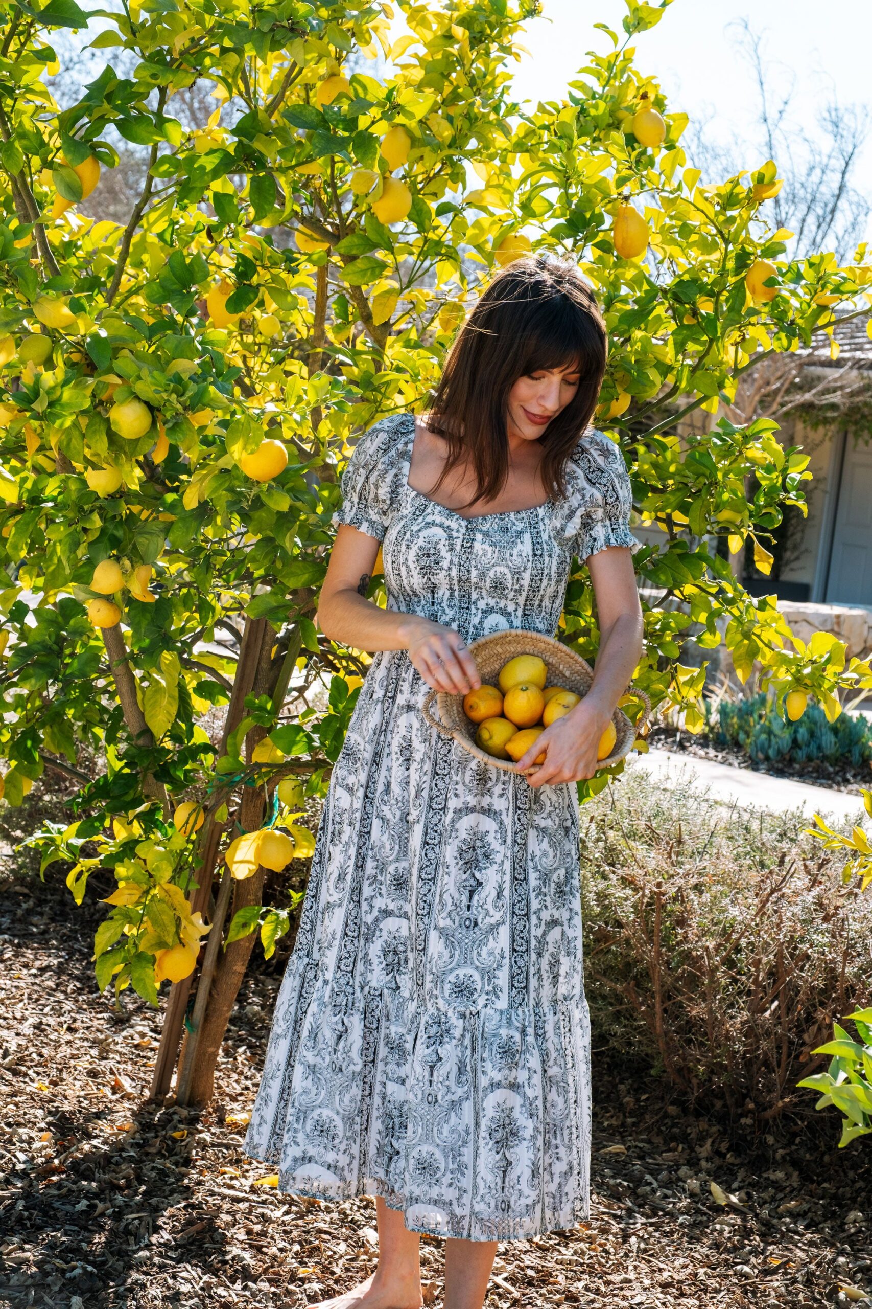 paisley-harper-dress-whimsy-and-row-printed-summer-dress.jpg