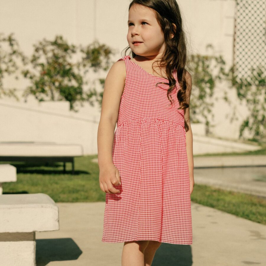 Mini Kate Dress in Red Gingham